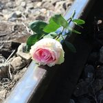 Podlasie. Coraz więcej prób samobójczych wśród dzieci