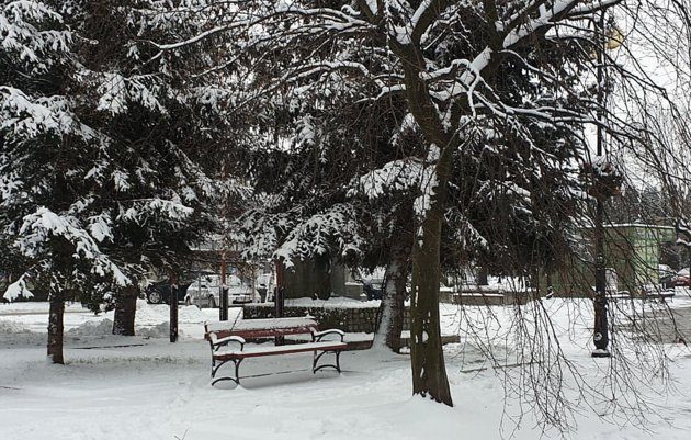 Śnieg wraca na Podlasie. W piątek progonozowane są opady