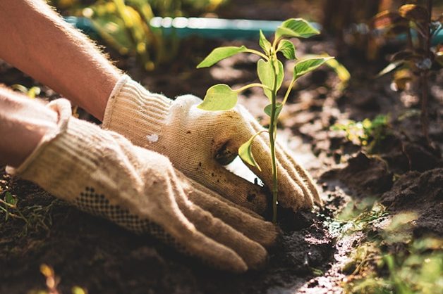 Eco-rewolucja w podlaskich zawodówkach