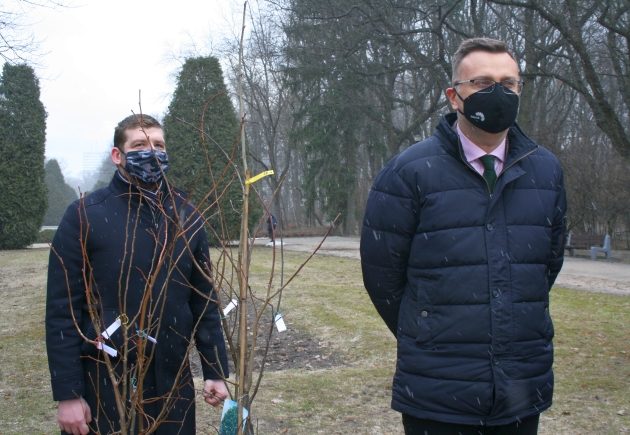 Białystok się zieleni. Miasto będzie rozdawać białostoczanom sadzonki drzew