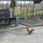 Pogoda na piątek. Będzie śnieg, a w nocy przymrozek