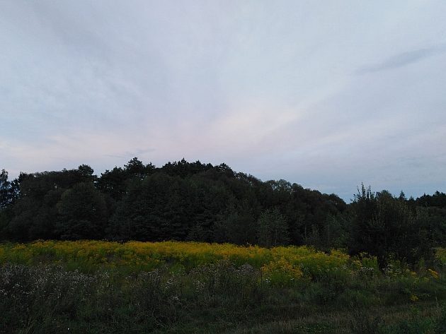 Pogoda na weekend. Niewykluczone są opady deszczu