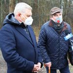 Kwestia wycinki przesądzona? Prezydent: "Tych drzew nie powinno już być od wielu lat"