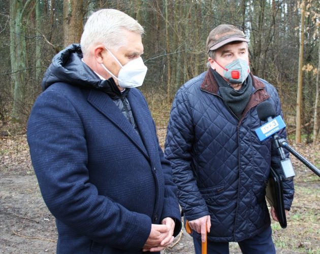 Kwestia wycinki przesądzona? Prezydent: "Tych drzew nie powinno już być od wielu lat"