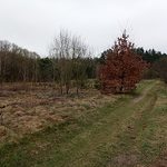 Cieplej, ale deszczowo. Niekorzystny będzie też biomet