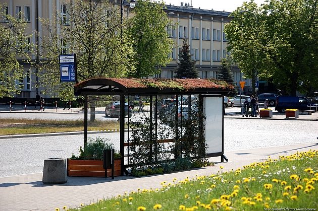 Zielone przystanki ponownie zostały docenione. Tym razem za innowację