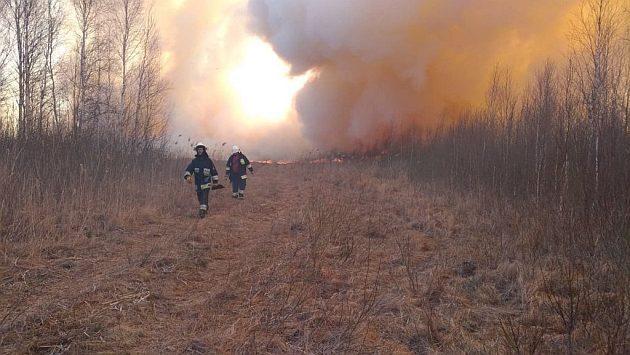 Tysiące osób walczyło z ogniem przez 7 dni. Żywioł nie dawał za wygraną [ZDJĘCIA]