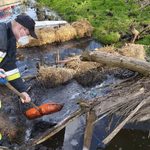 Nietypowe interwencje podlaskich strażaków