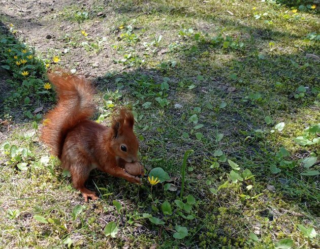 Cieplej, mniej wietrznie, bez opadów. Pogoda na 4 maja napawa optymizmem