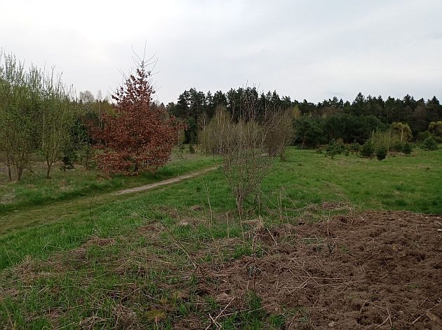 Po deszczowej środzie czas na nieco pogodniejszy czwartek 