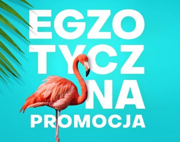 Promocja w Alfa Centrum. Zrób zakupy, dostaniesz kartę podarunkową na 50 zł