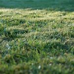 Miejskie działki na sprzedaż. Gdzie i za ile?