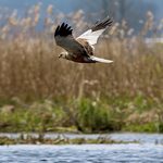 To najmłodsza forma ochrony przyrody w Polsce. Europejski Dzień Sieci Natura 2000 