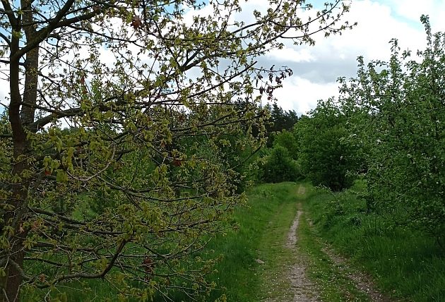 Pogodnie, bez opadów. Uciążliwe mogą być jedynie porywy wiatru