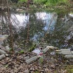 Harcerze sprzątali Biebrzański Park Narodowy. Ilość śmieci zatrważająca