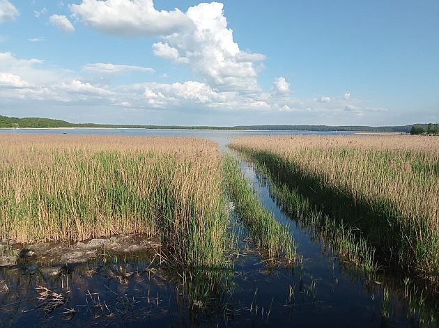 Możliwe opady. A co z temperaturą?