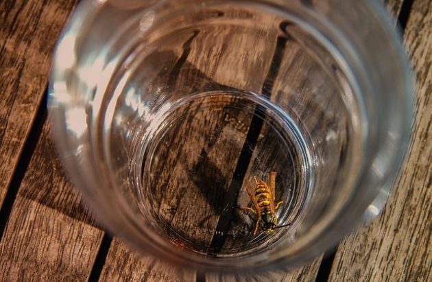 Światowy Tydzień Alergii. W tym roku poświęcony anafilaksji