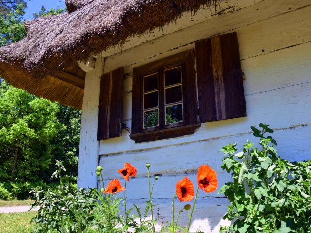 Słoneczna promocja w Podlaskim Muzeum Kultury Ludowej