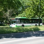 Weekendowe zmiany w kursowaniu autobusów BKM. Sprawdź, którymi trasami pojadą
