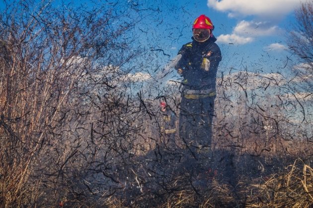 Średnie zagrożenie pożarowe w lasach. Zakazu wstępu jednak w Podlaskiem nie ma