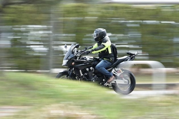 Nie żyje motocyklista. Najechał na łosia