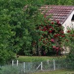 Ogródki działkowe w Białymstoku. Gdzie najczęściej pojawiają się złodzieje?