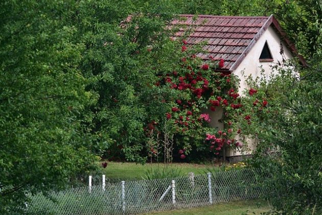 Ogródki działkowe w Białymstoku. Gdzie najczęściej pojawiają się złodzieje?