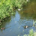 Parny wtorek. Temperatura będzie wzrastać