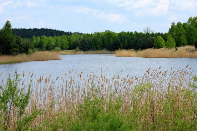 Pływał w zalewie i nie wyszedł na brzeg. Po poszukiwaniach wyłowiono ciało 52-latka