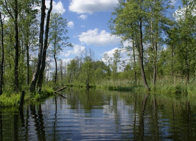 Wszedł do rzeki pod wpływem alkoholu. Trwają poszukiwania 21-latka