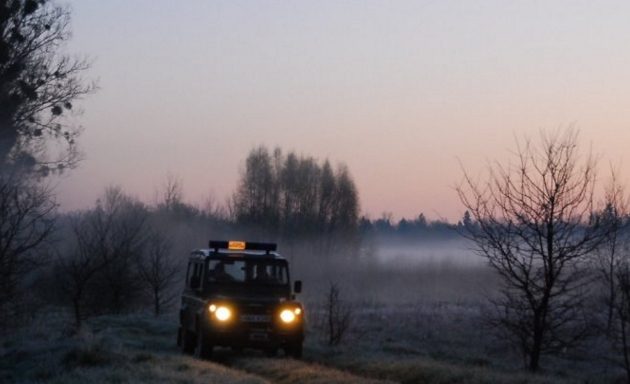 Zatrzymano ponad 50 obywateli Afganistanu i Iraku. Szli w nocy z Białorusi