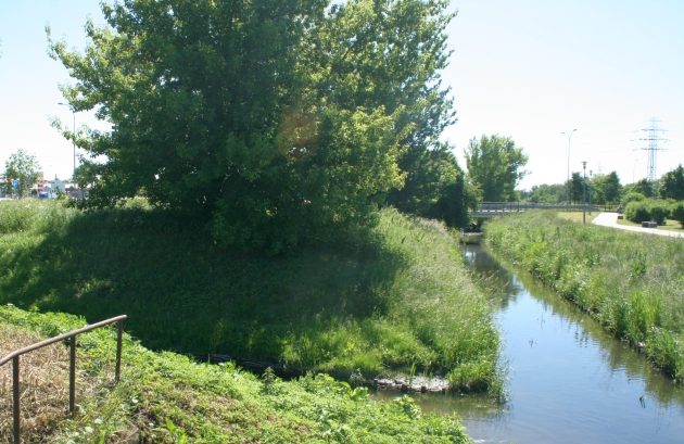 Pogoda dopisze. Czwartek będzie słoneczny i bezchmurny