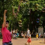 "Drugie życie drzew". Miasto organizuje festyn ekologiczny