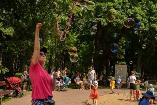 "Drugie życie drzew". Miasto organizuje festyn ekologiczny