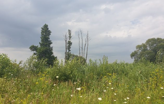 Ostatni poniedziałek lipca. Jaka będzie pogoda?