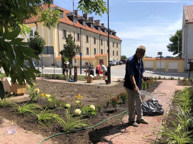 Zielona inicjatywa w Choroszczy. Przy magistracie posadzono ponad 300 roślin