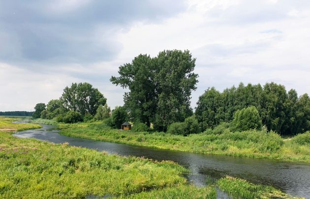 Pochmurny czwartek. W Białymstoku znów popada