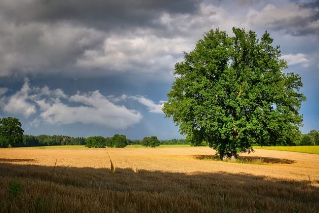 Wracają burze. IMGW ostrzega