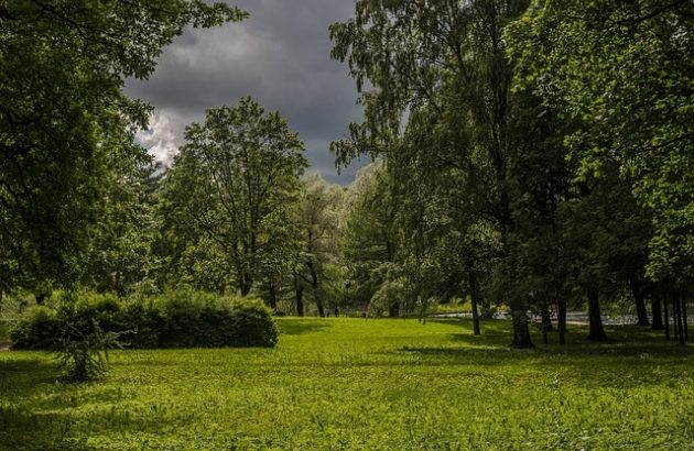 Ostrzeżenie IMGW. Uwaga na burze z gradem!