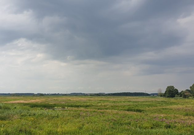 Pochmurny piątek. Mogą wystąpić burze