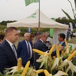 Krajowy Dzień Kukurydzy w Szepietowie - już w ten weekend