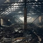 Pożar kurnika w Trześciance. Z żywiołem walczyło 9 zastępów straży