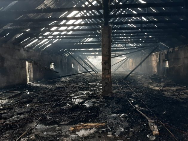 Pożar kurnika w Trześciance. Z żywiołem walczyło 9 zastępów straży