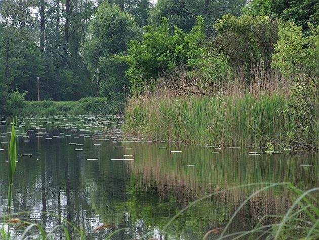 Politechnika Białostocka będzie współpracowała z parkami narodowymi. To spore wyzwanie