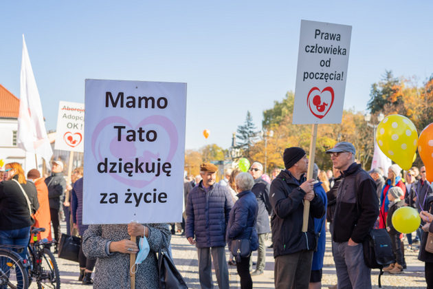 Chcą m.in. ochrony życia od poczęcia. Zakończył się Marsz dla życia i rodziny [ZDJĘCIA]