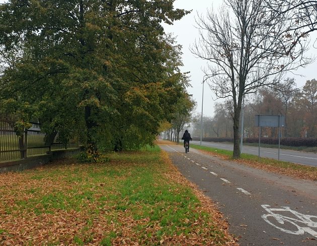 Półmetek tygodnia w Białymstoku. Będzie chłodno i mokro