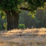 Nowy park krajobrazowy w województwie. Czy jest potrzebny? Oddaj swój głos