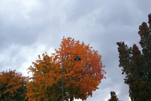 Zapowiada się ciepły dzień. Na termometrach nawet 17°C