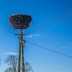 Znów nie będzie prądu. Gdzie dokładnie?