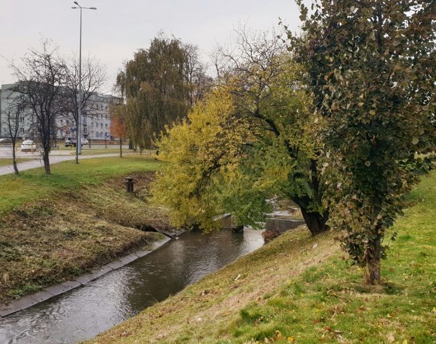 Promienny początek tygodnia. Ile stopni wskażą termometry?